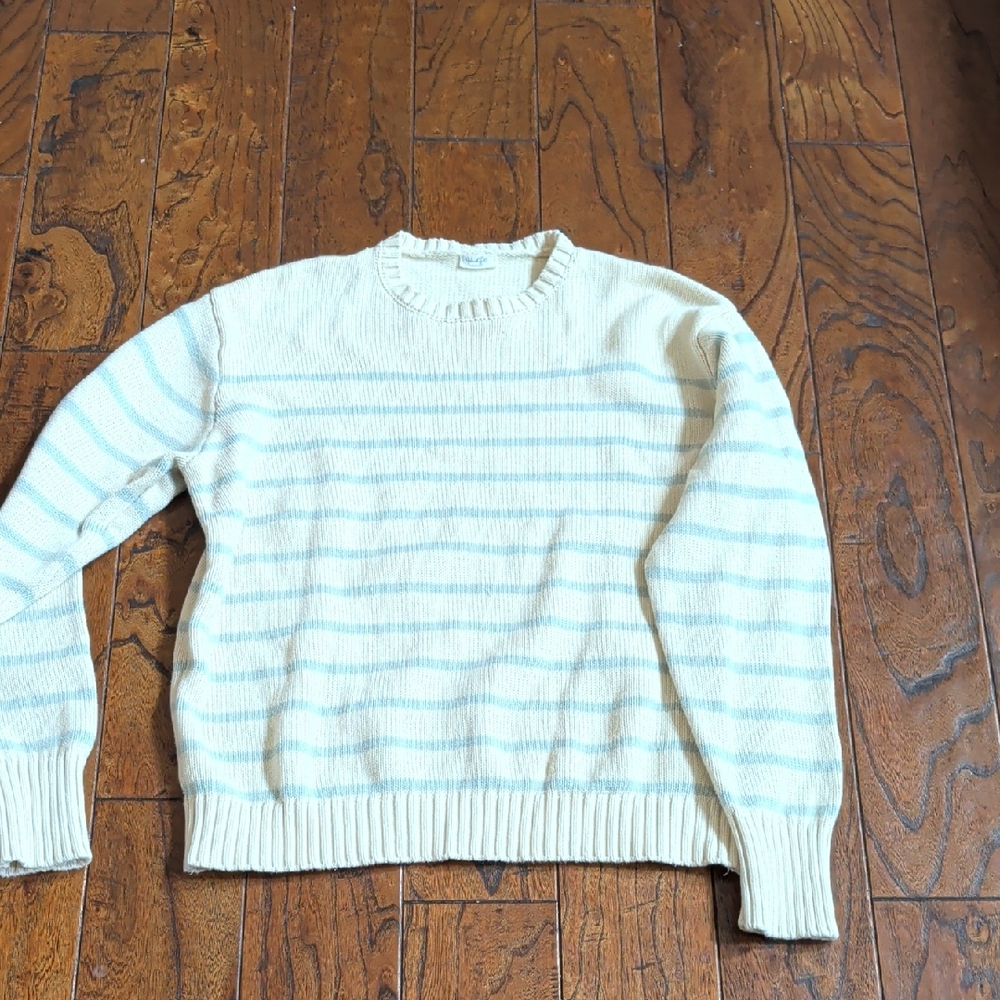 Brandy Melville Ivory and Light Blue Sweater